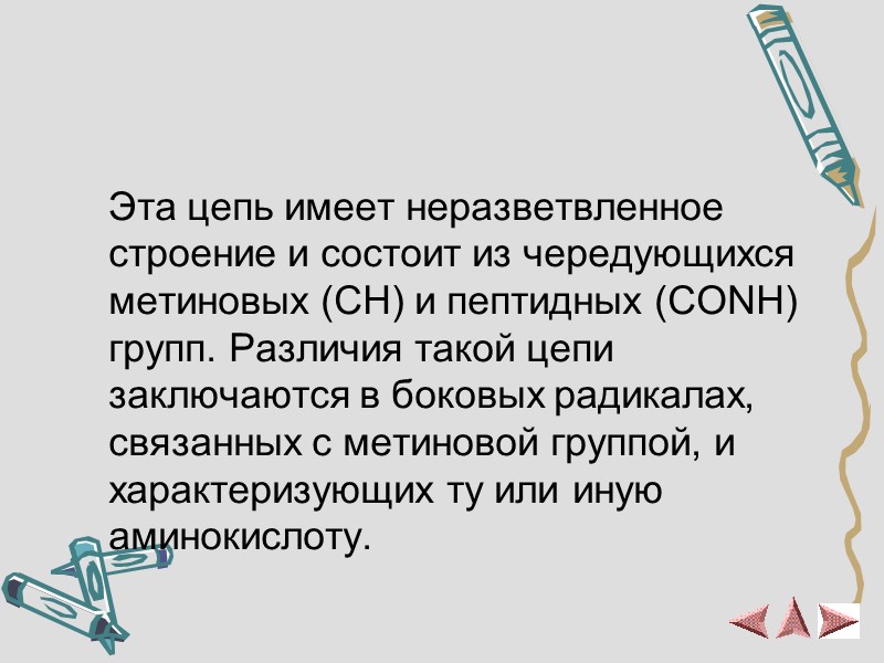 Строение полипептидной цепи  Эта цепь имеет неразветвленное строение и состоит из чередующихся метиновых